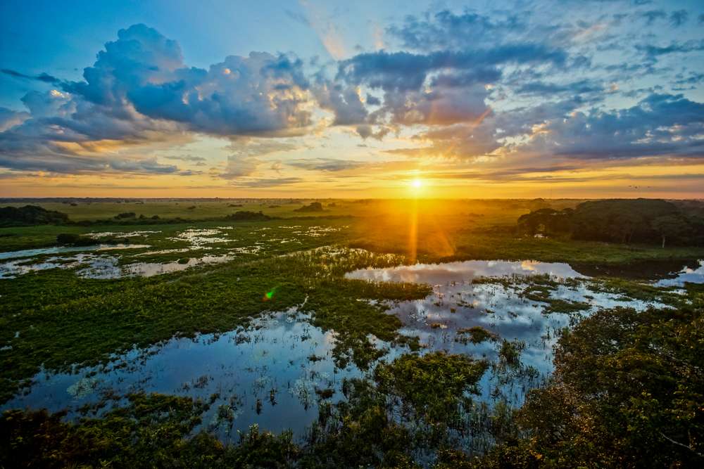 Nascer do sol no Pantanal, Brasil. O Pantanal é a maior zona úmida do mundo.