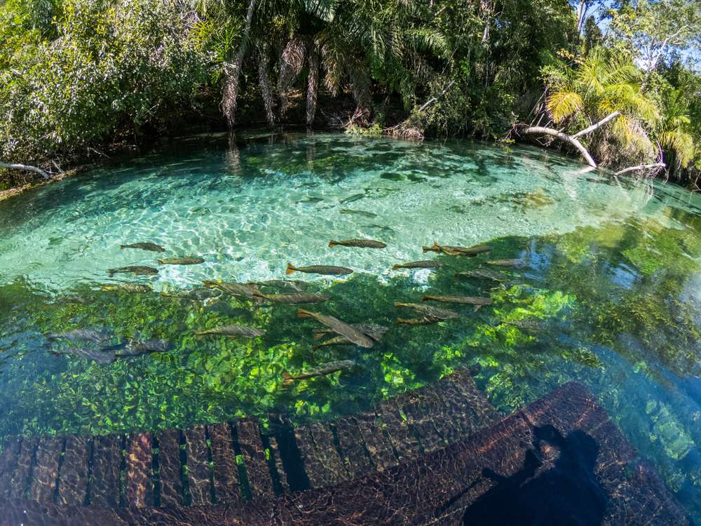 Bonito. Melhores destinos para Férias no Brasil.