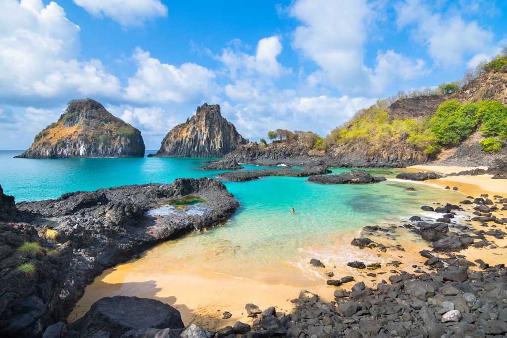 Turismo consciente: por que é importante respeitar a vida marinha durante as viagens