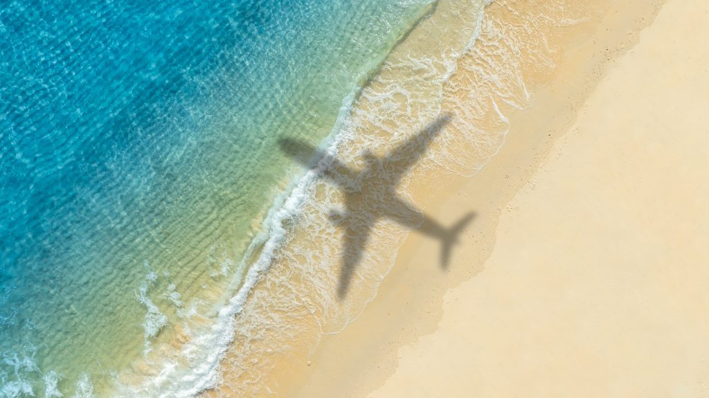 Turismo consciente: por que é importante respeitar a vida marinha durante as viagens