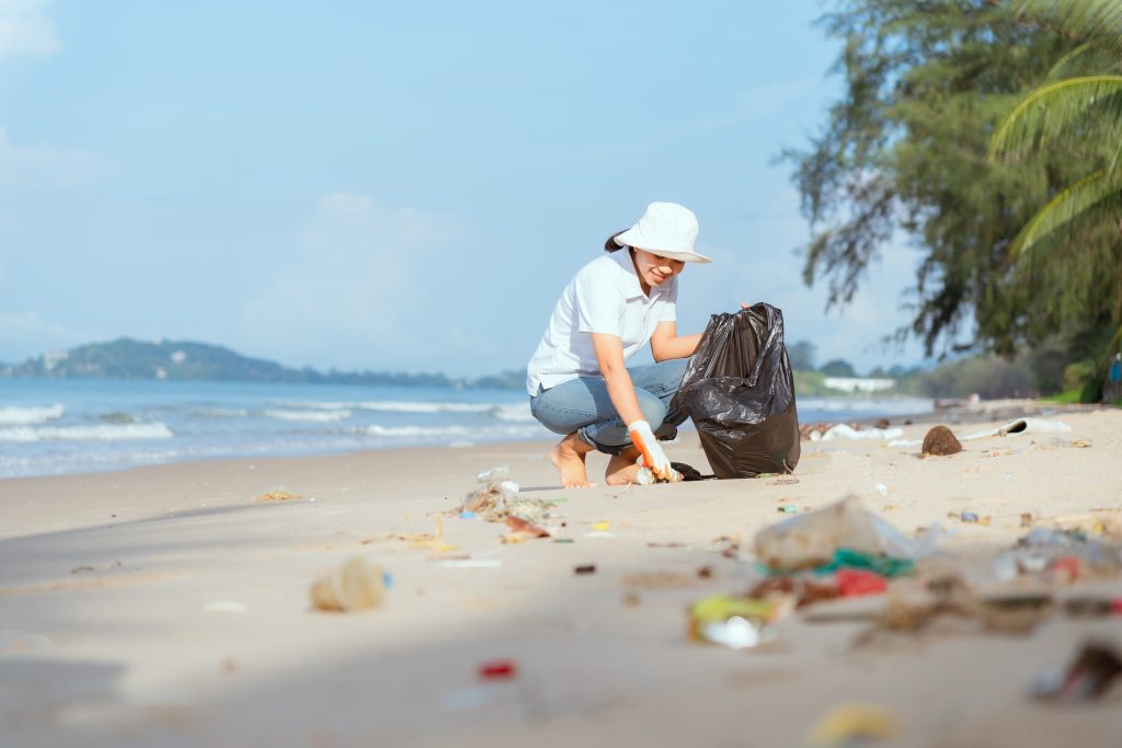 Turismo consciente: por que é importante respeitar a vida marinha durante as viagens