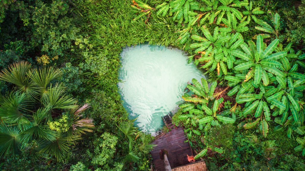 Viagens no outono no Brasil: destinos para curtir o clima perfeito sem multidões