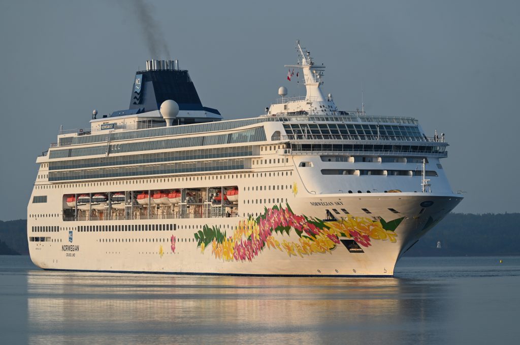 Viagens de cruzeiro 2026: como escolher entre Princess Cruises e Norwegian Cruise Line