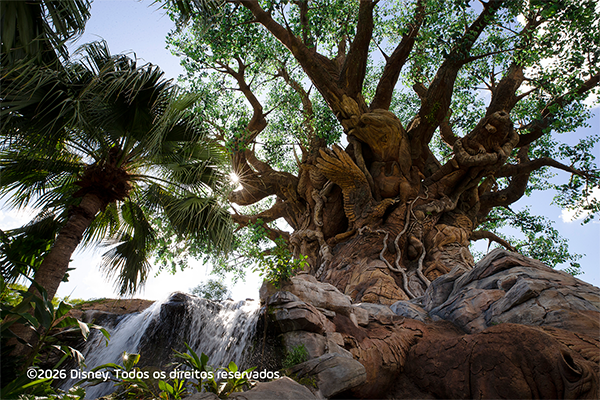Walt Disney World Resort: conheça os 4 Parques Temáticos Disney
